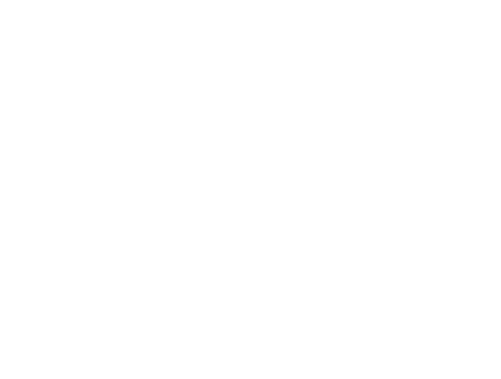Lo Sparviere