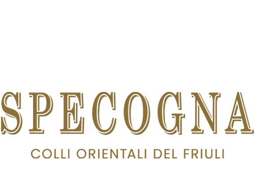 Specogna